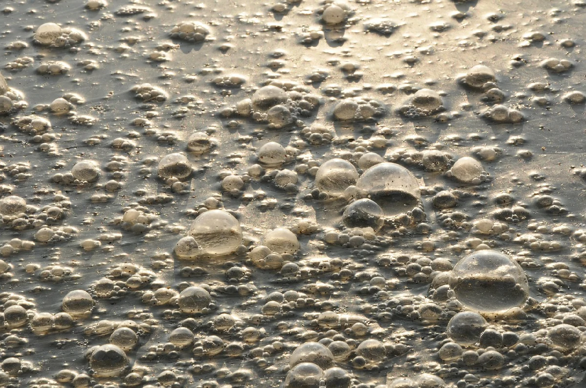 Asya’nın Görünmeyen Krizi: Bangladeş’te Temiz Su Sorunu