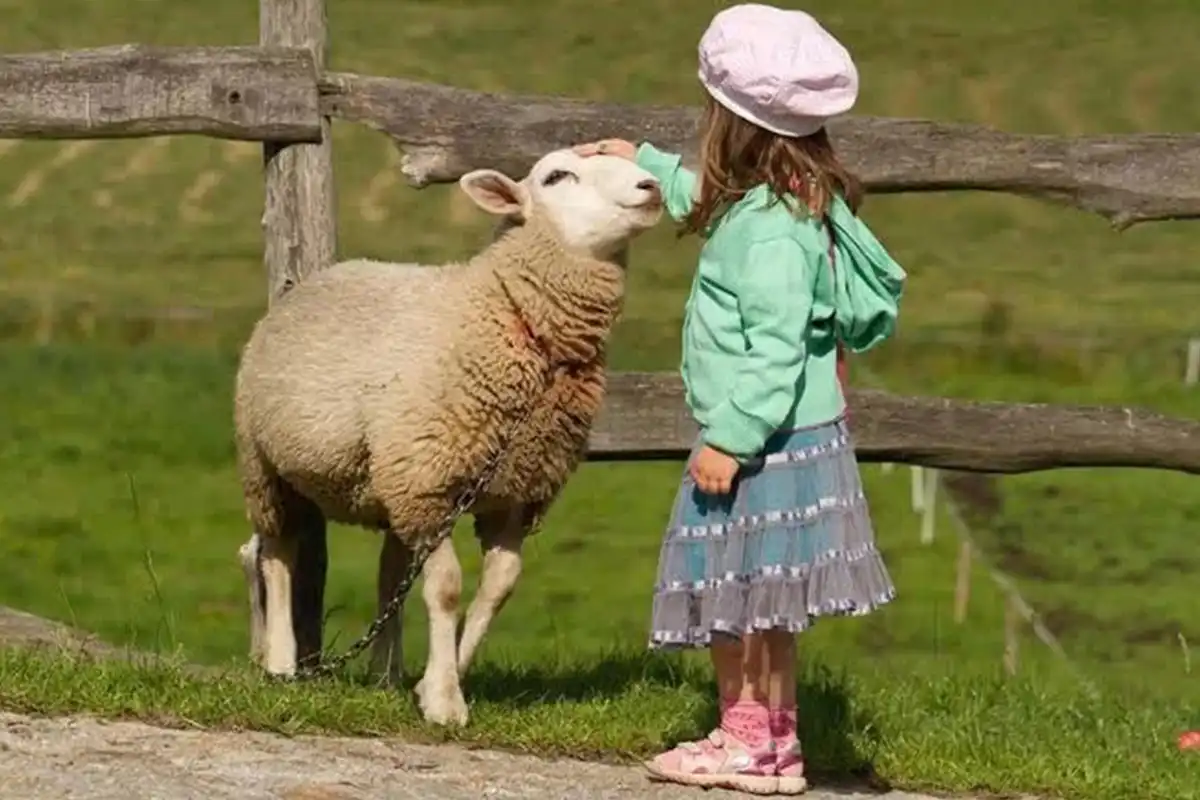 Kurban Bayramı Ne Zaman?