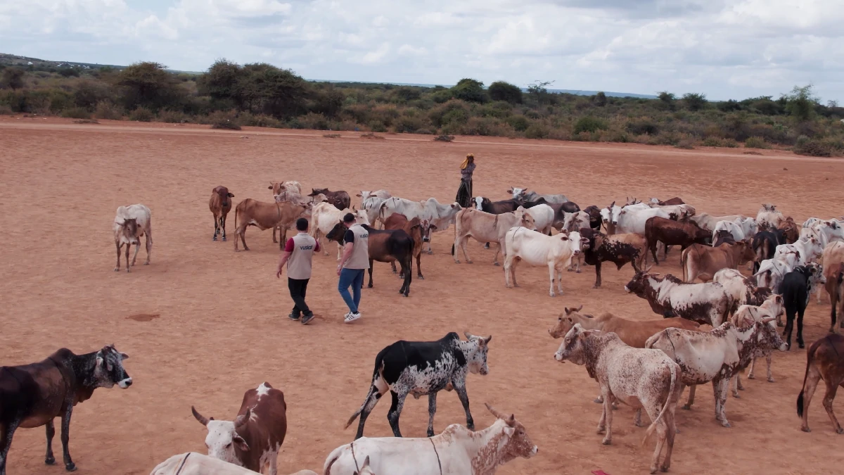Miraç Kandili Özel Faaliyetler