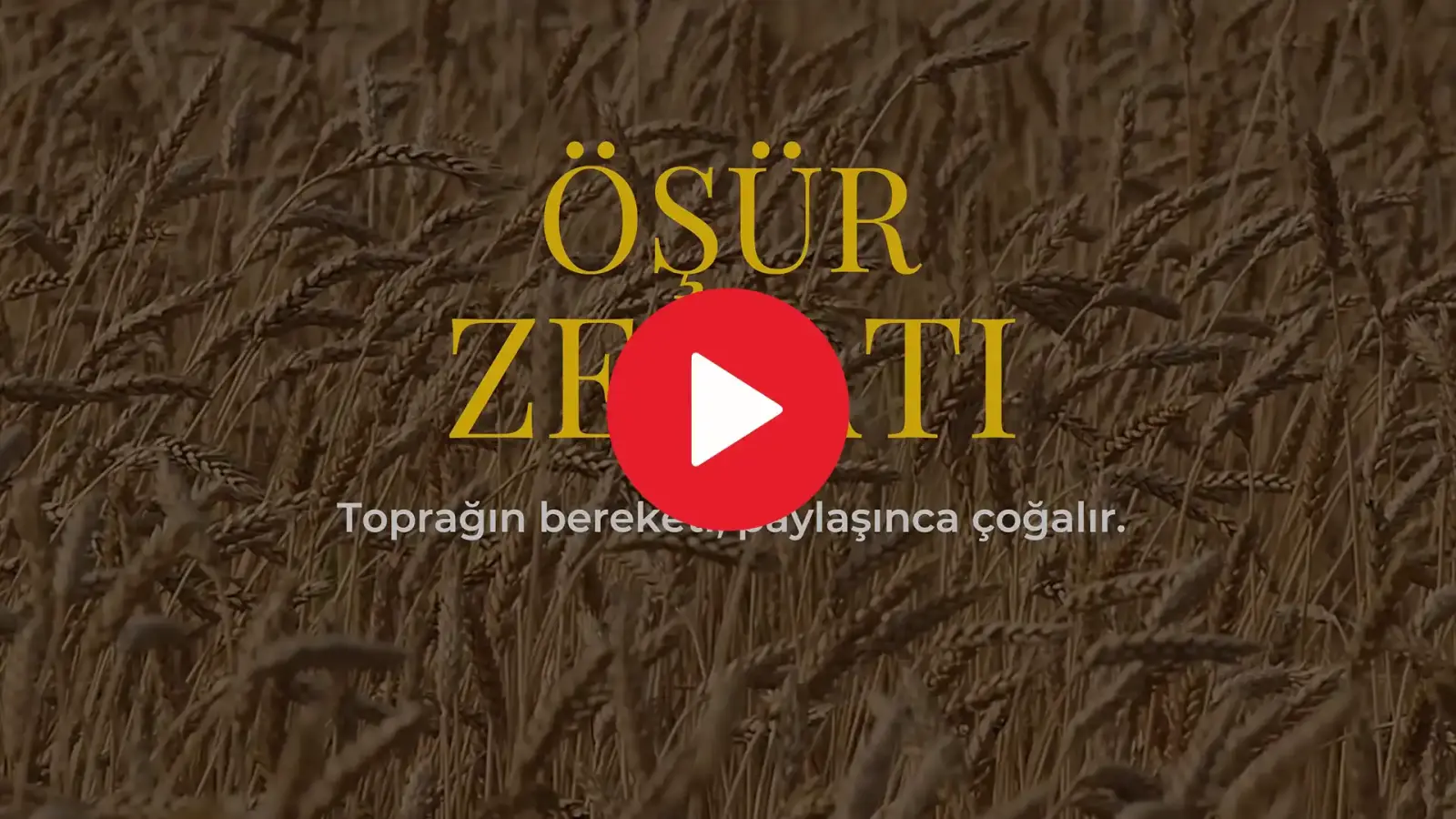 Emeğiniz Öşür Zekatı ile Bereketlensin