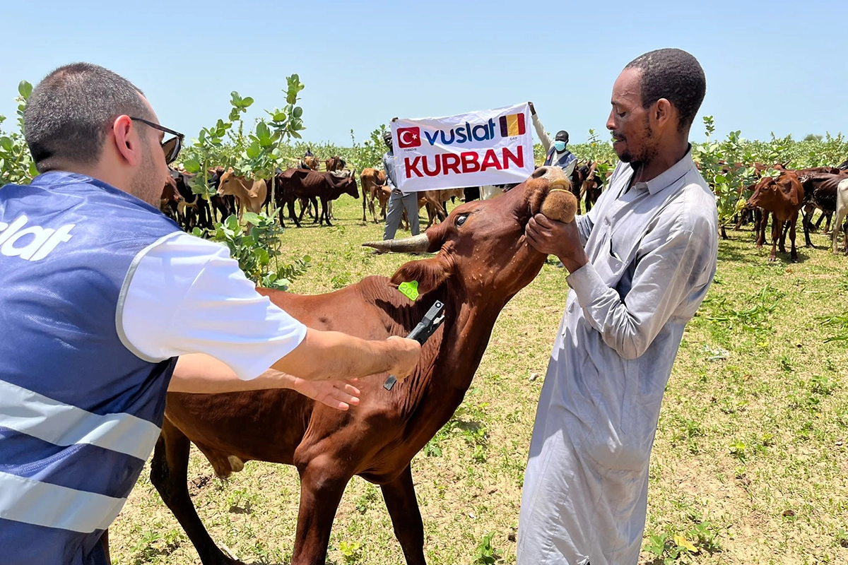 Kurban Bağışı Dağıtımları